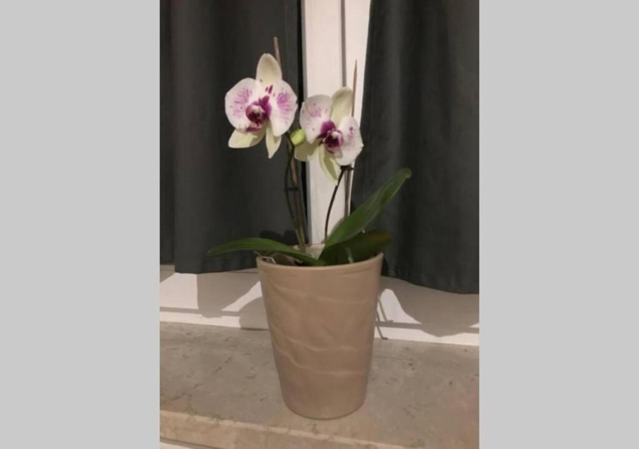 Live Easy With Balcony,netflix, Quiet, Close To Football Stadium, Direct Train Connection, Espresso Maker *